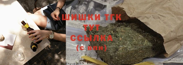 молекула духа Переславль-Залесский