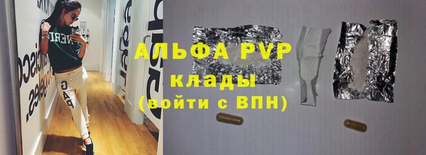 гашик Пересвет
