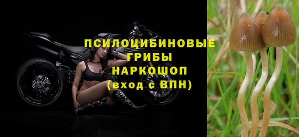 гашик Пересвет