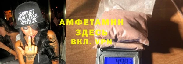 гашик Пересвет