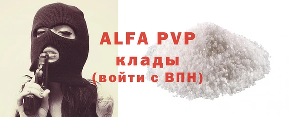гашик Пересвет