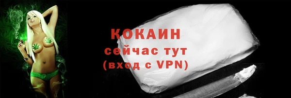 гашик Пересвет