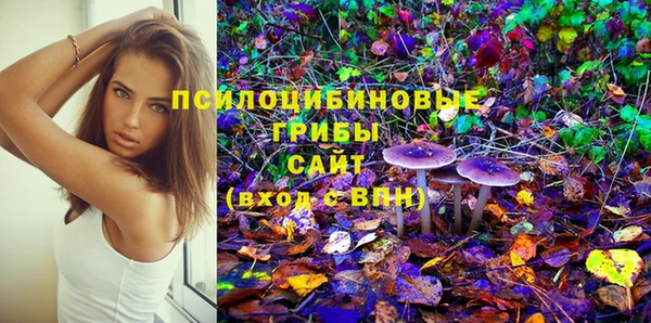 гашик Пересвет