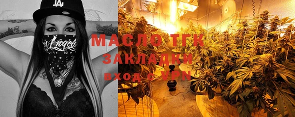 молекула духа Переславль-Залесский