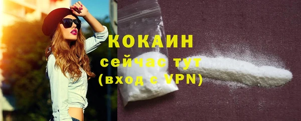молекула духа Переславль-Залесский