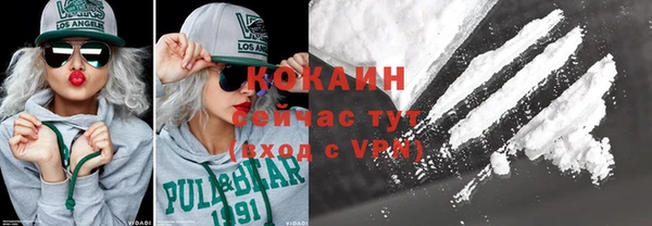 молекула духа Переславль-Залесский