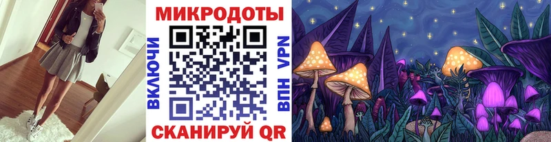 Псилоцибиновые грибы мицелий купить наркотики сайты Шахунья